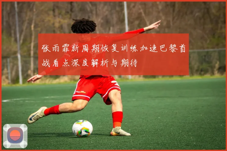 张雨霏新周期恢复训练加速巴黎首战看点深度解析与期待