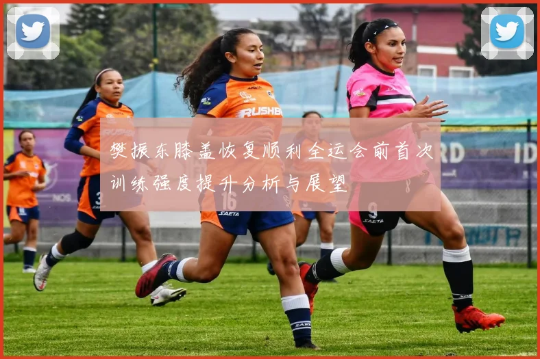 樊振东膝盖恢复顺利全运会前首次训练强度提升分析与展望